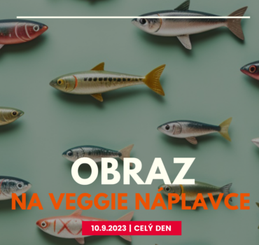 VN Obraz