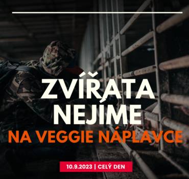 VN ZVNJ