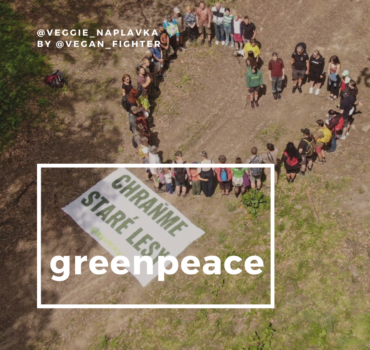 VN Greenpeace