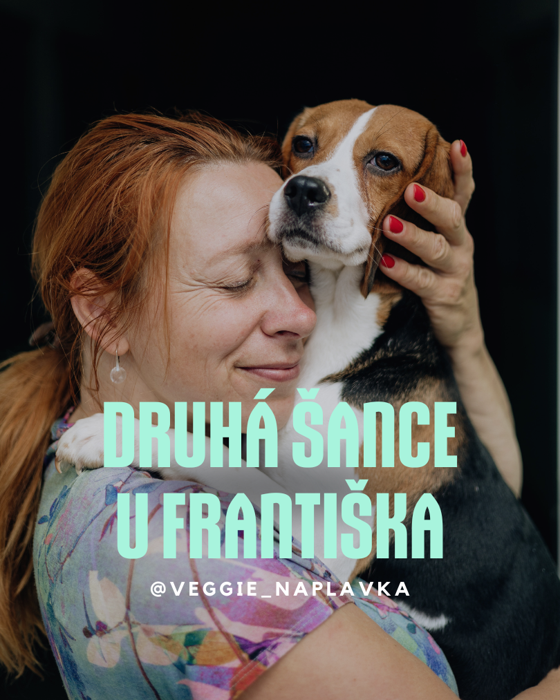 Druha šance