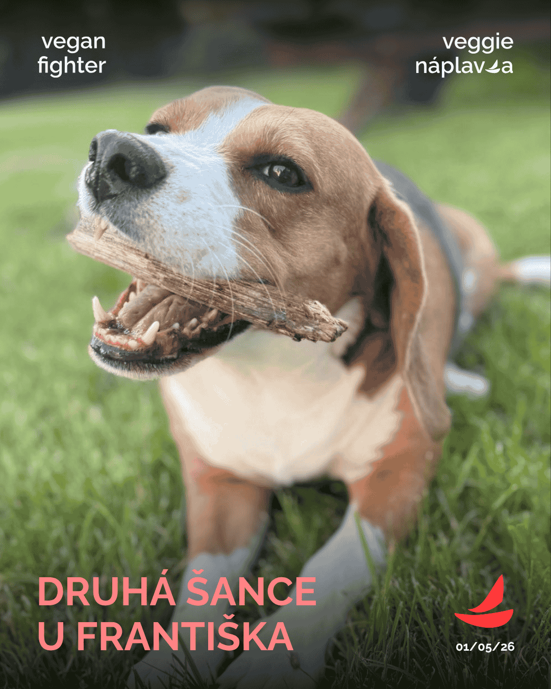 VN Druha sance u Frantiska