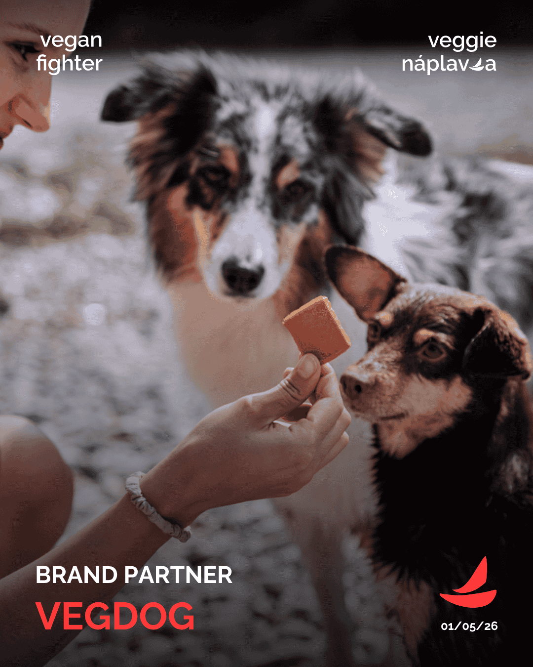 Veggie Naplavka_Veg Dog